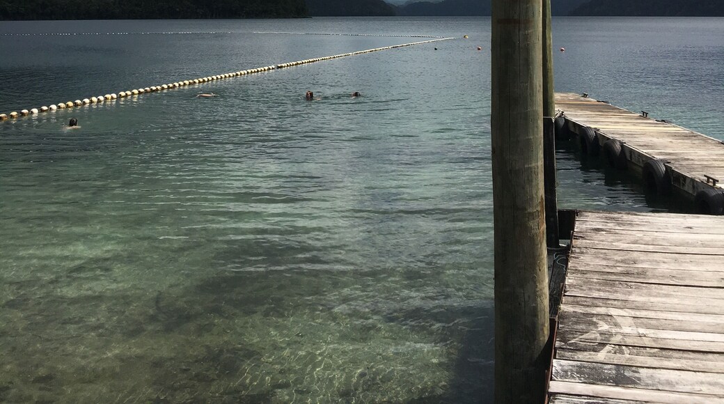 Even though it was overcast, Lake Okataina was gorgeous. The freezing water didn’t stop us from going for a swim!