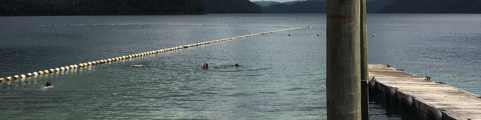 Even though it was overcast, Lake Okataina was gorgeous. The freezing water didn’t stop us from going for a swim!