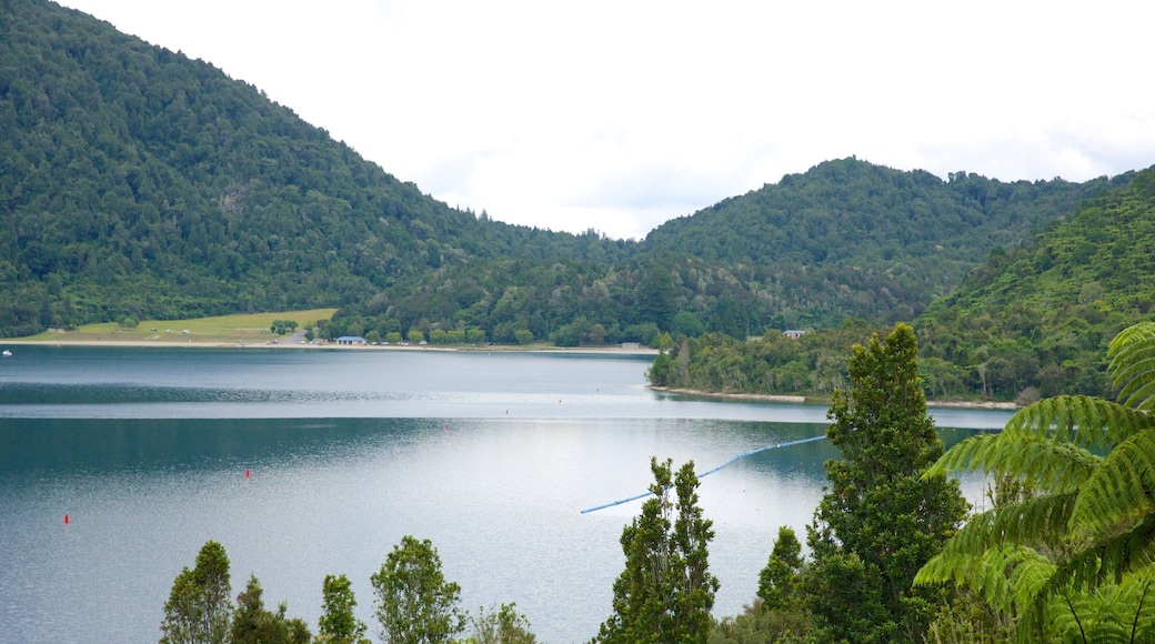 Lake Rotokakahi toont een meer of poel