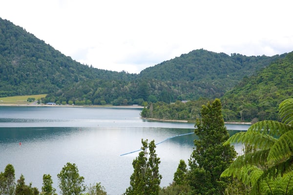 Lake Rotokakahi showing a lake or waterhole