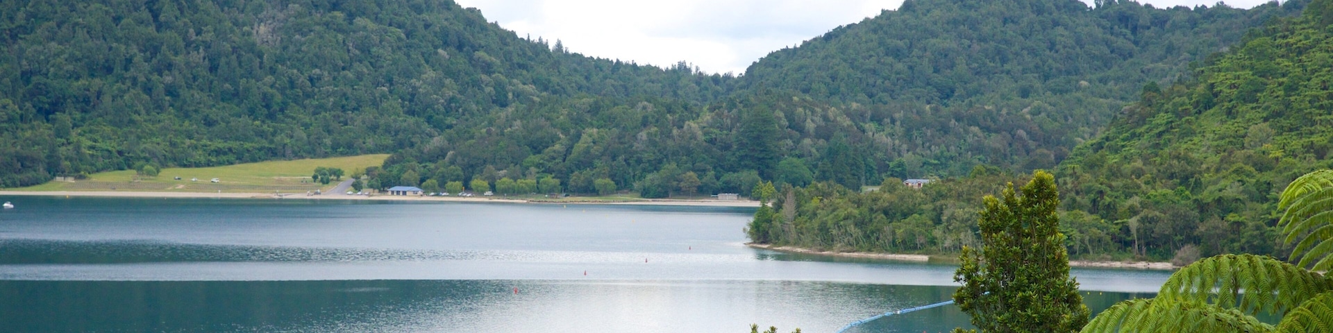 Lake Rotokakahi showing a lake or waterhole