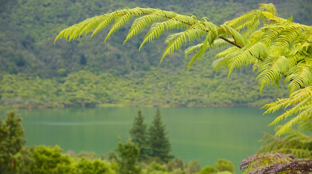 Lake Rotokakahi inclusief een meer of poel