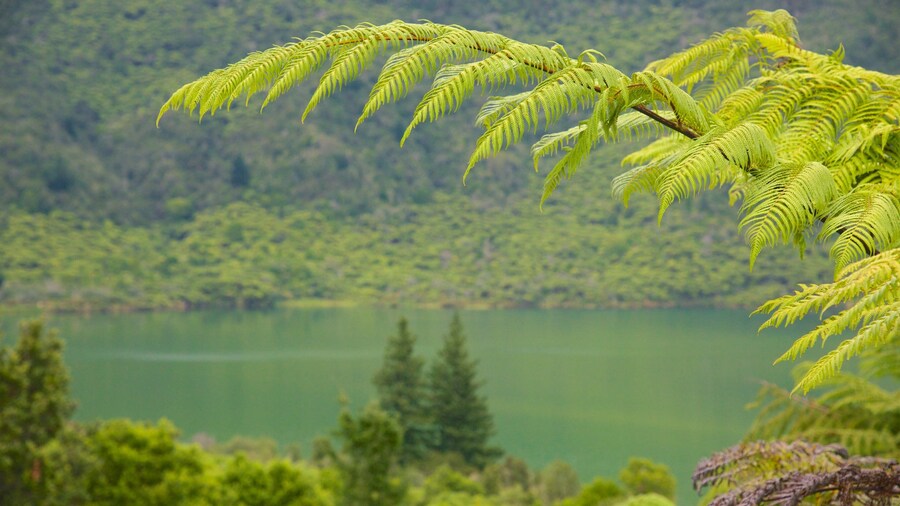 Lake Rotokakahi featuring a lake or waterhole