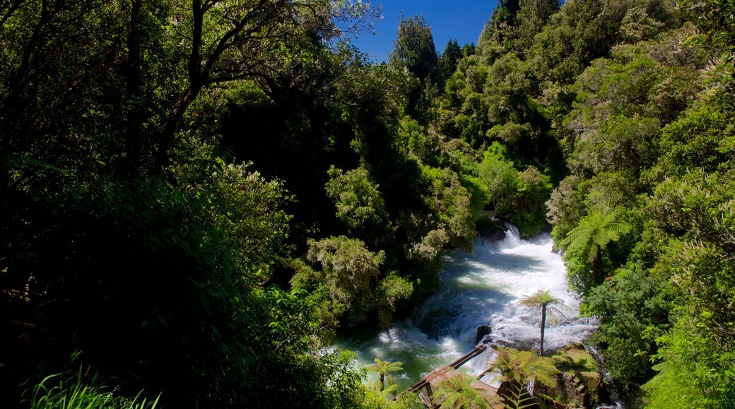 Okere Falls Scenic Reserve mettant en vedette rivière ou ruisseau, rapides et forêts
