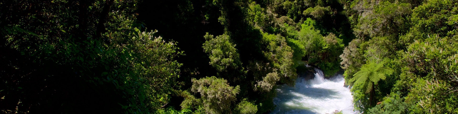 Okere Falls Scenic Reserve , Rotorua, Nueva Zelanda mostrando un río o arroyo, bosques y rápidos