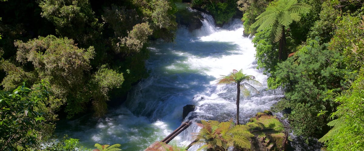 Okere Falls Scenic Reserve showing rapids and a river or creek