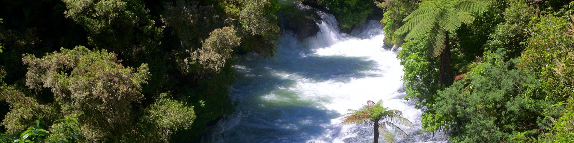 A waterfall surrounded by dense green foliage.