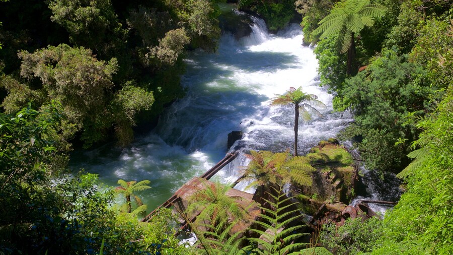 Okere Falls Scenic Reserve showing rapids and a river or creek