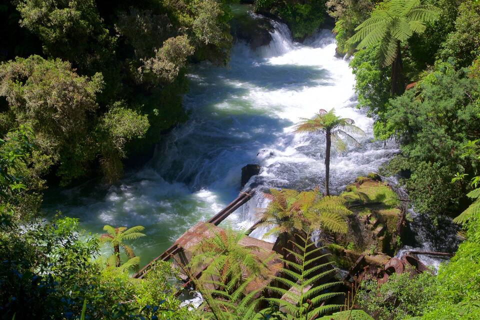 A waterfall surrounded by dense green foliage.