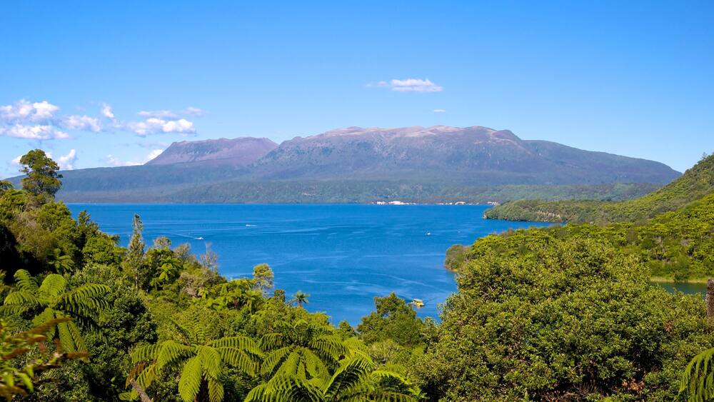 Lake Tarawera which includes landscape views and a lake or waterhole