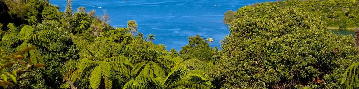 Lake Tarawera which includes landscape views and a lake or waterhole