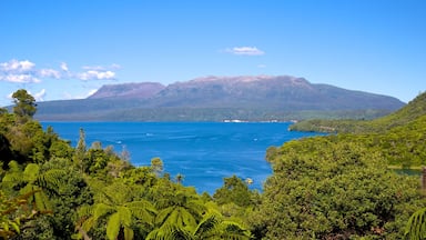 A coastal landscape with a large body of water, dense green vegetation, and a mountain range in the background.