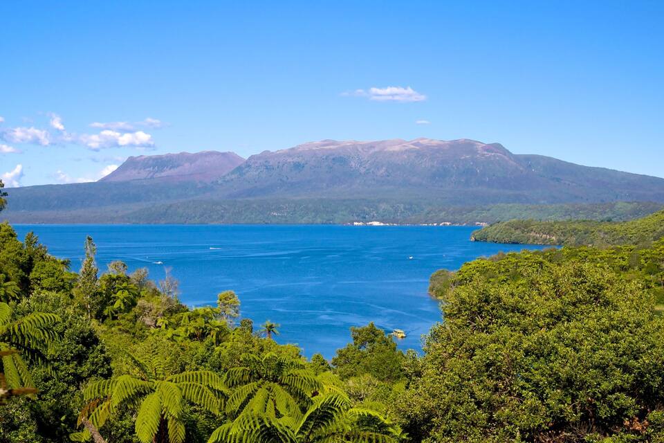 A coastal landscape with a large body of water, dense green vegetation, and a mountain range in the background.
