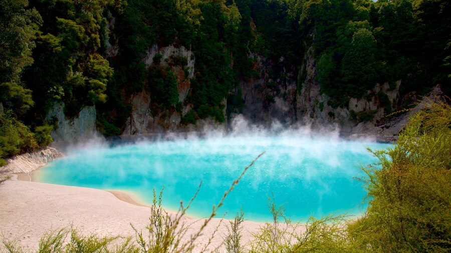 Waimangu Volcanic Valley which includes a hot spring