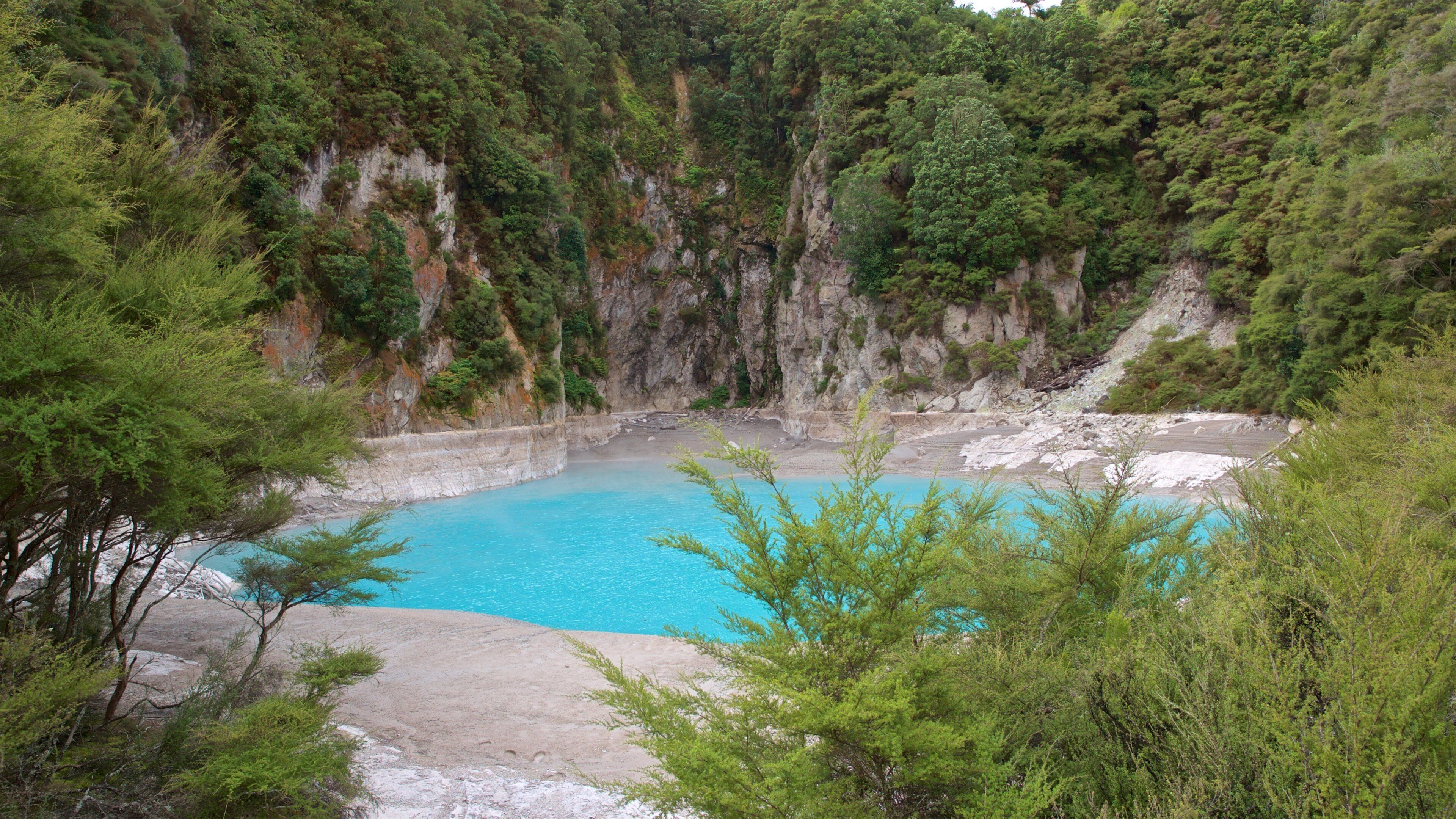 Waimangu Volcanic Valley featuring a hot spring