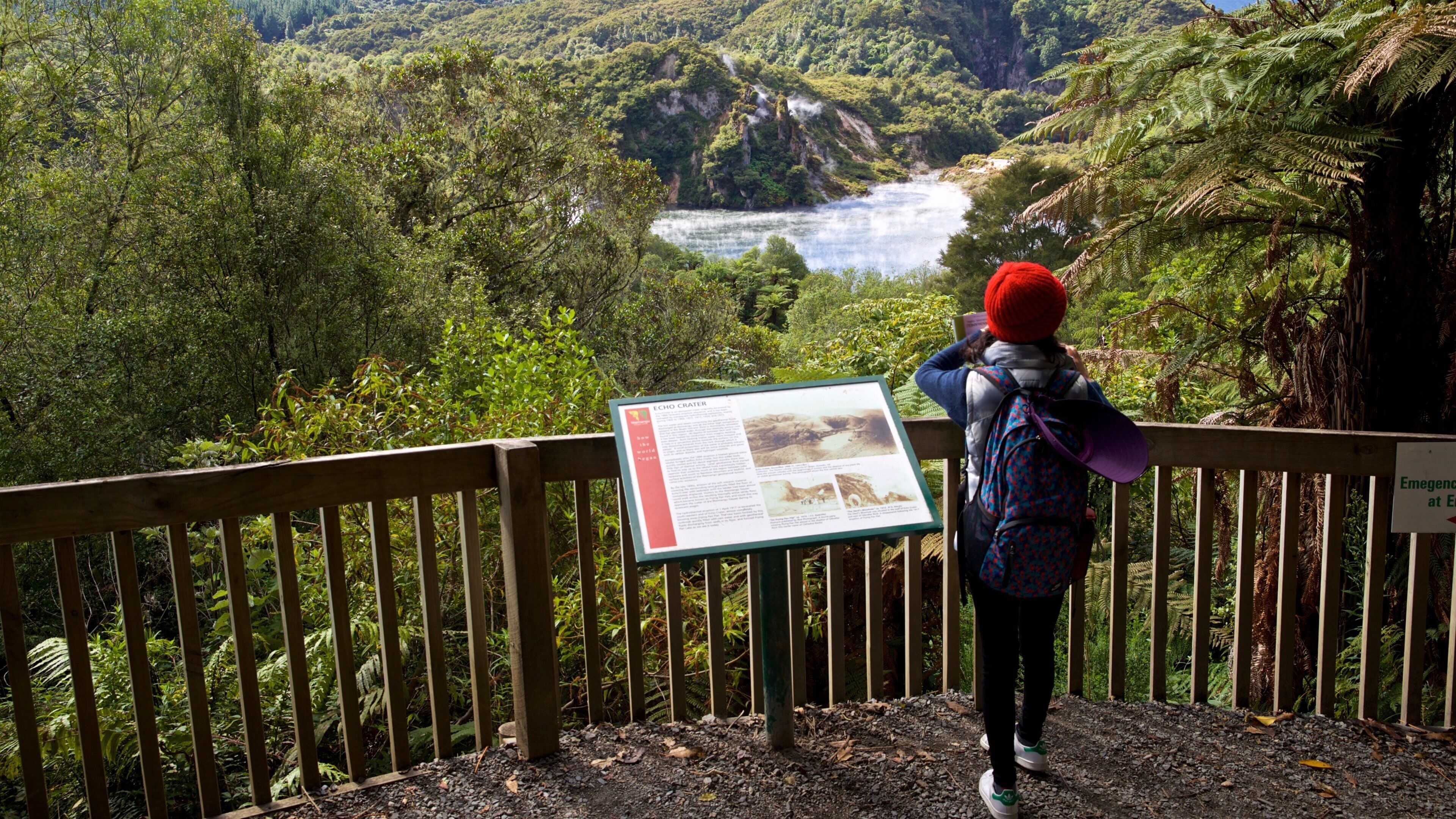 Waimangu Volcanic Valley showing a river or creek, views and signage