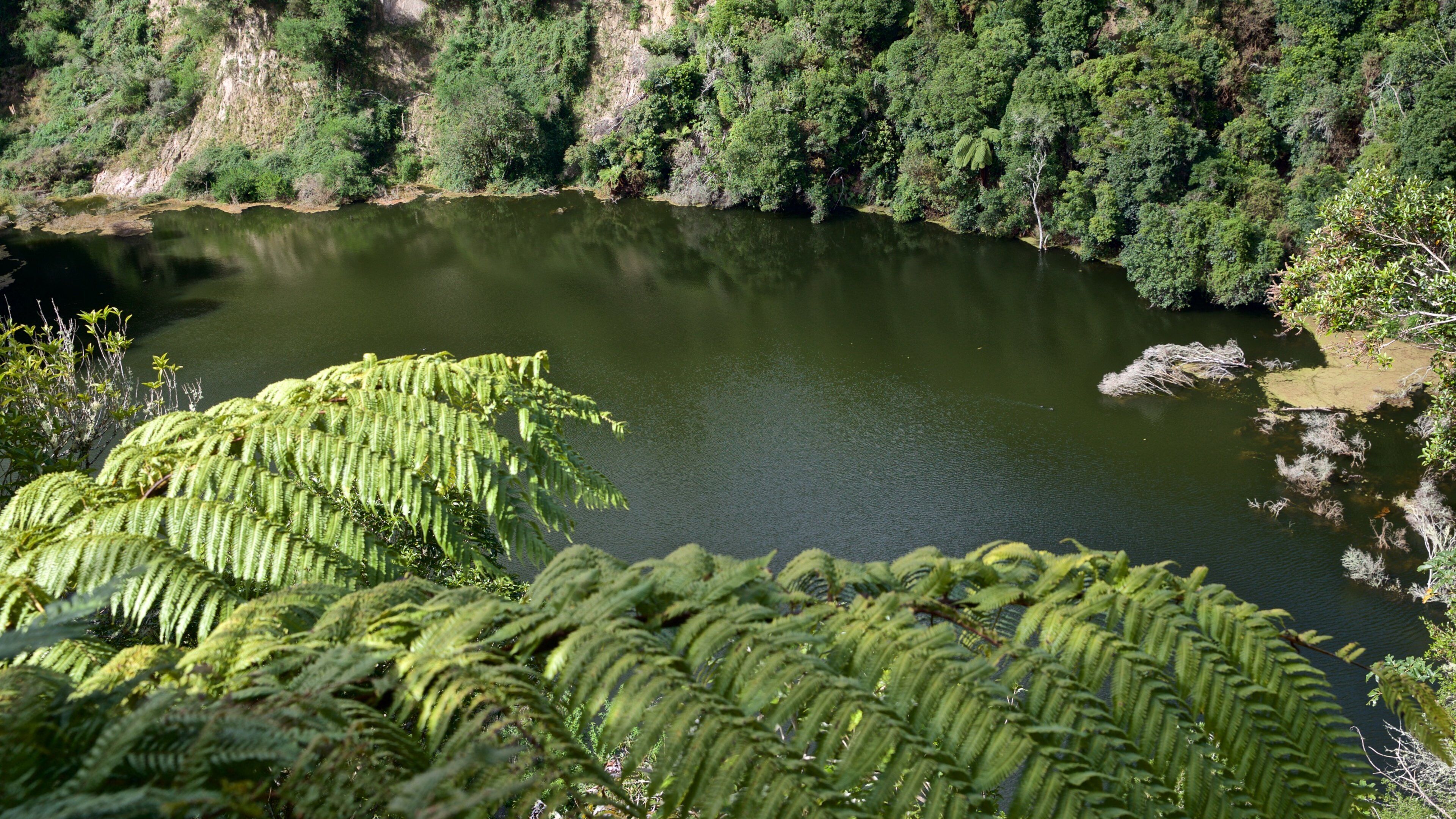 Waimangu Volcanic Valley which includes a lake or waterhole