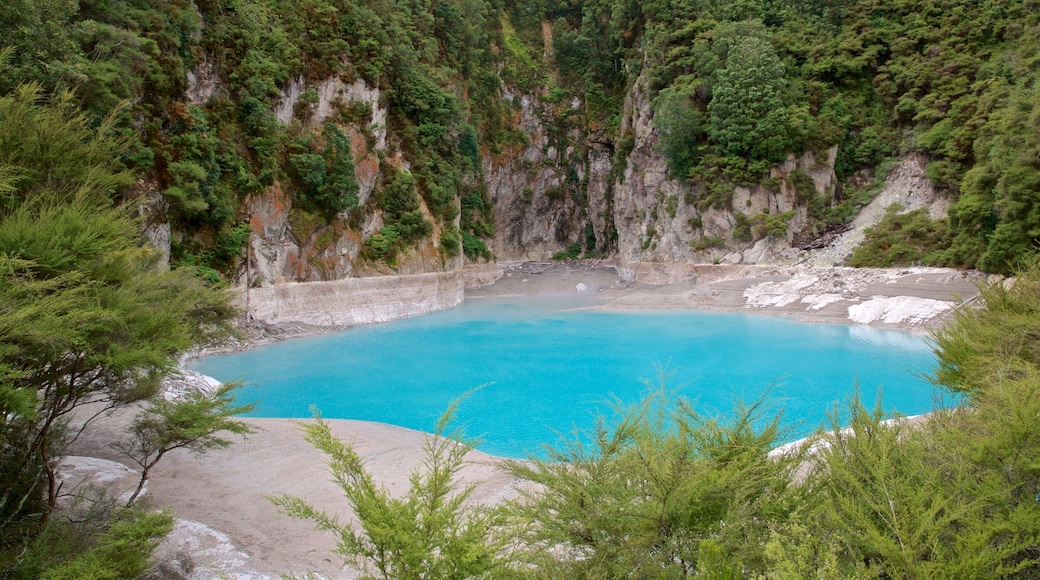 Waimangu Volcanic Valley which includes a hot spring