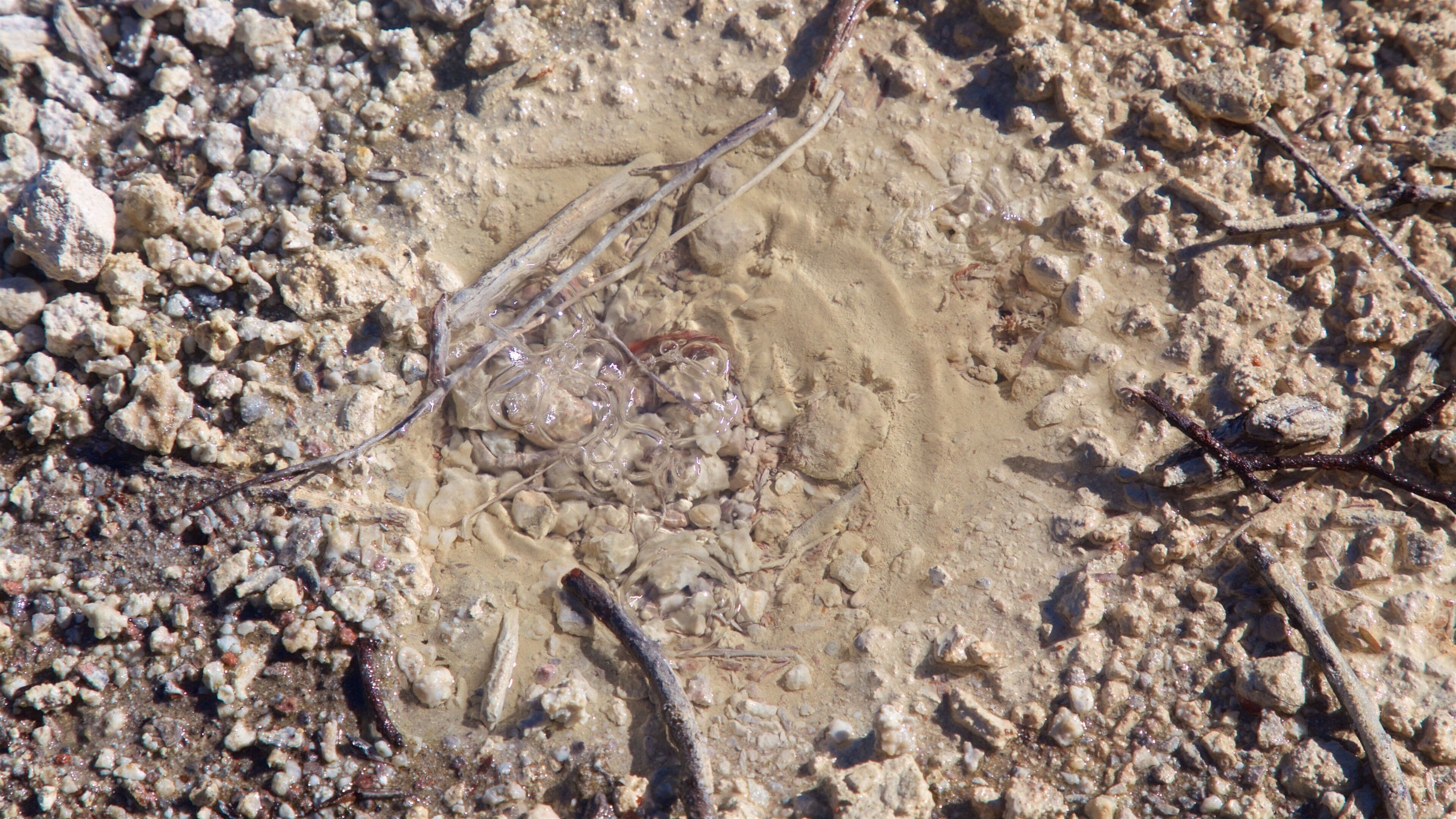 Wai-O-Tapu Thermal Wonderland