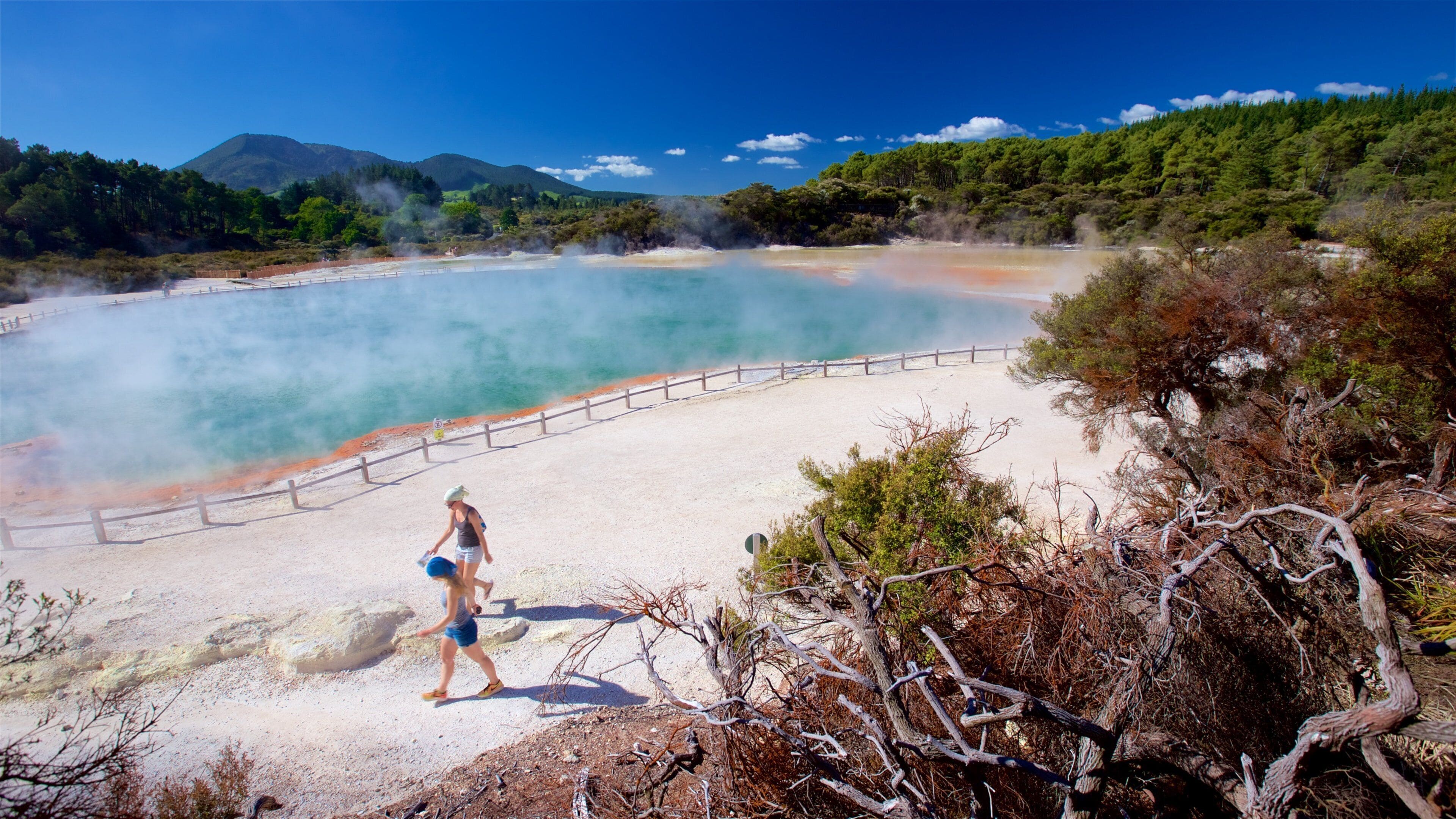 Wai-O-Tapu Thermal Wonderland featuring mist or fog and a hot spring as well as a couple