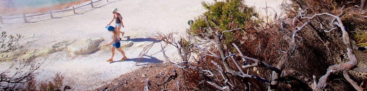 Wai-O-Tapu Thermal Wonderland das einen heiße Quelle und Nebel sowie Paar