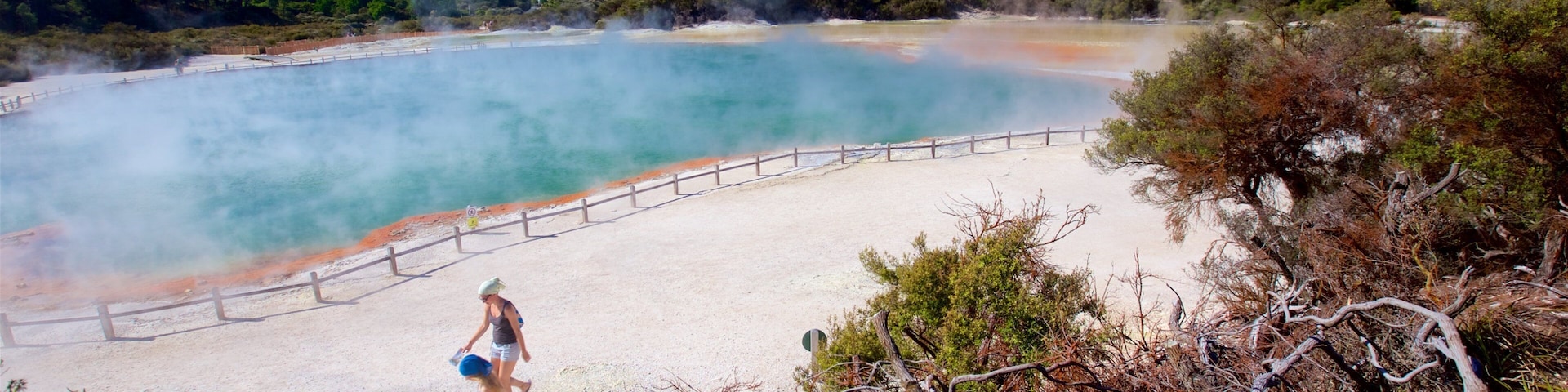 Wai-O-Tapu Thermal Wonderland das einen heiße Quelle und Nebel sowie Paar