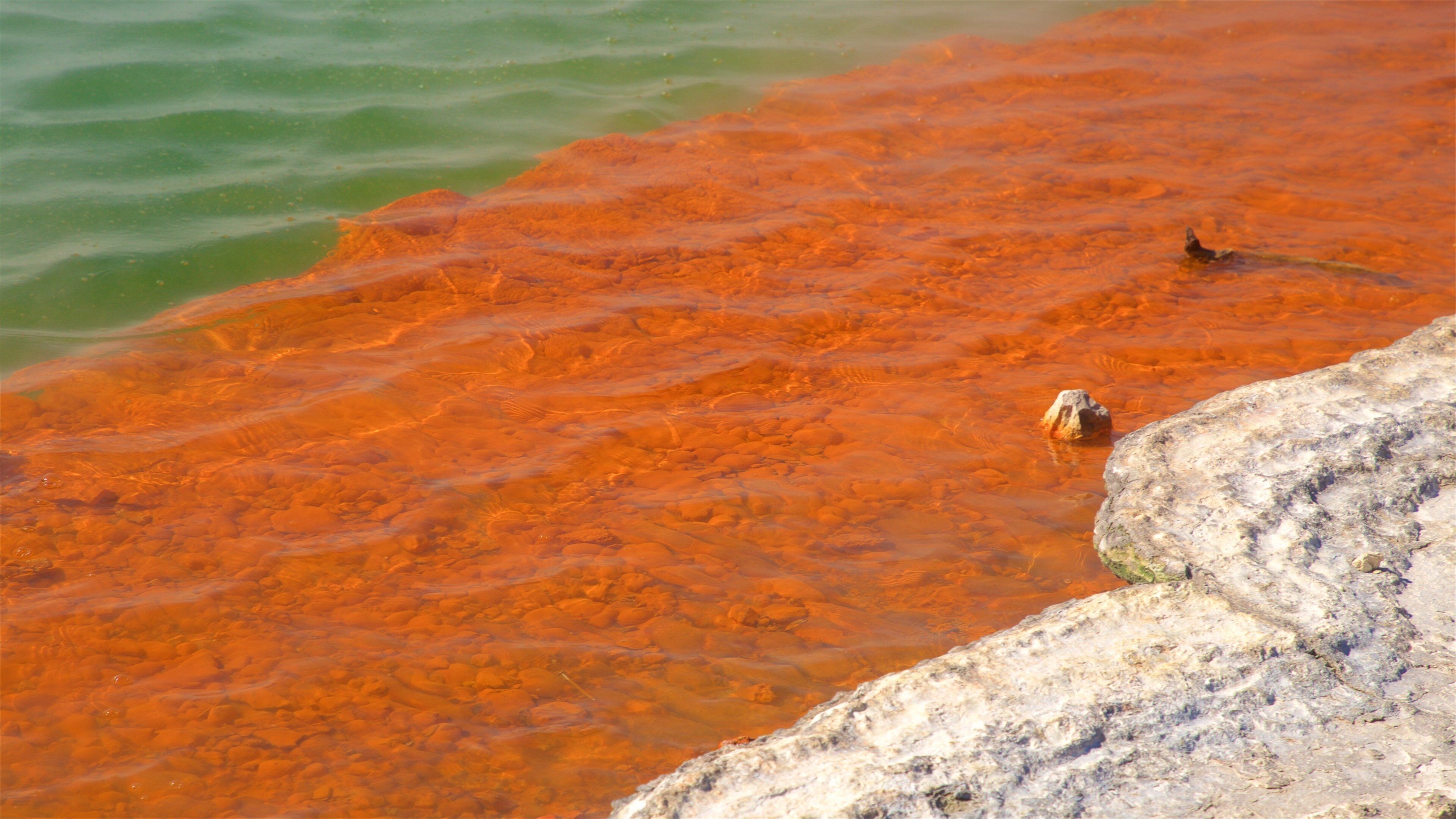 Wai-O-Tapu Thermal Wonderland featuring a lake or waterhole