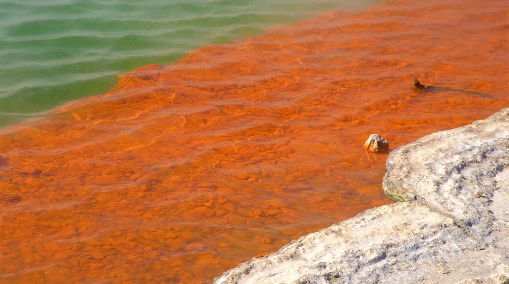 Wai-O-Tapu Thermal Wonderland featuring a lake or waterhole