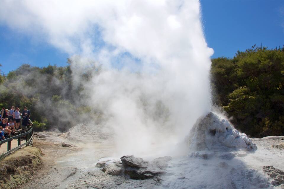 Un geyser escampa vapor, envoltat d'un paisatge rocós i una multitud d'espectadors.