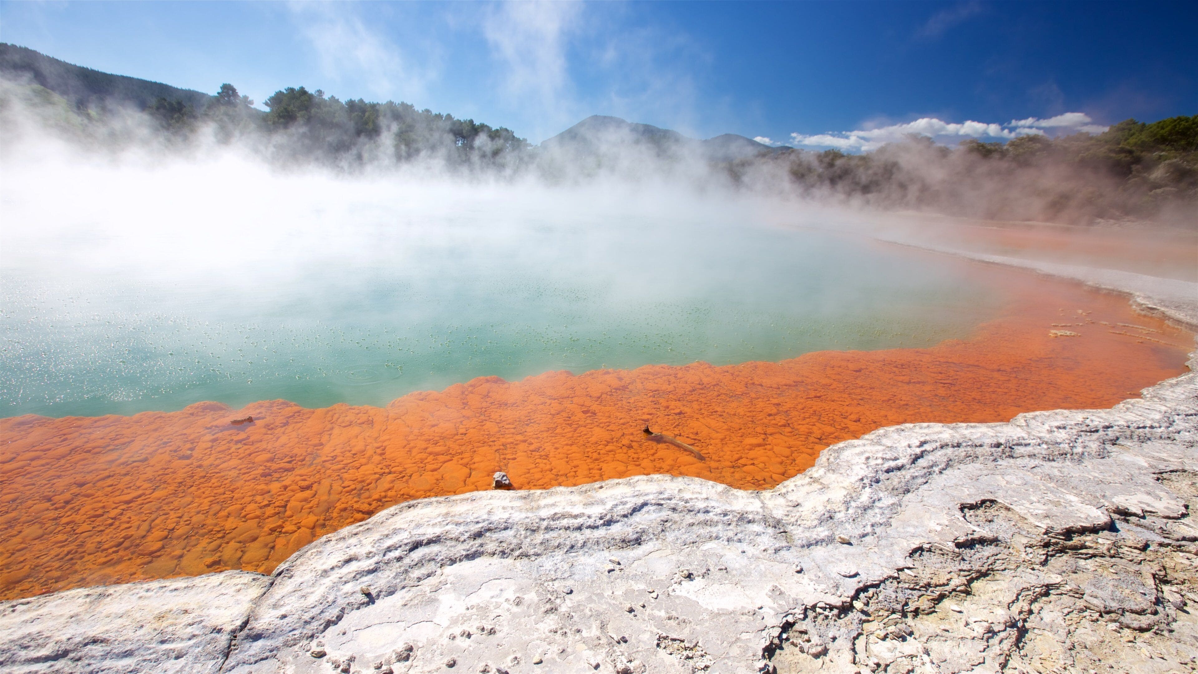 Wai-O-Tapu Thermal Wonderland showing a hot spring and mist or fog