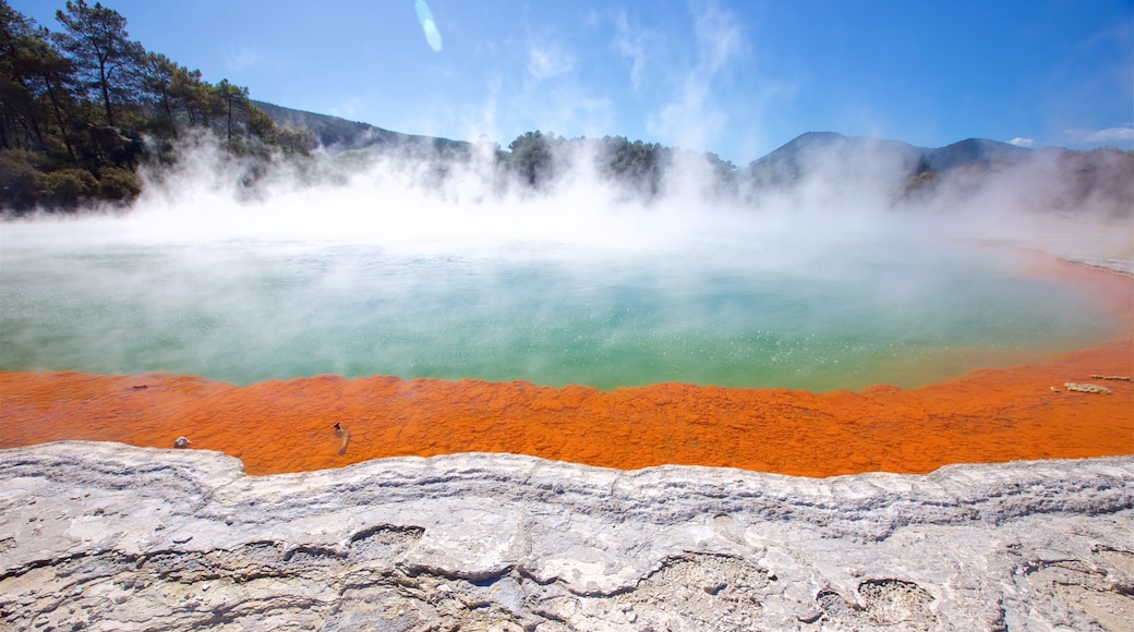 Wai-O-Tapu Thermal Wonderland som viser tåke og het kilde