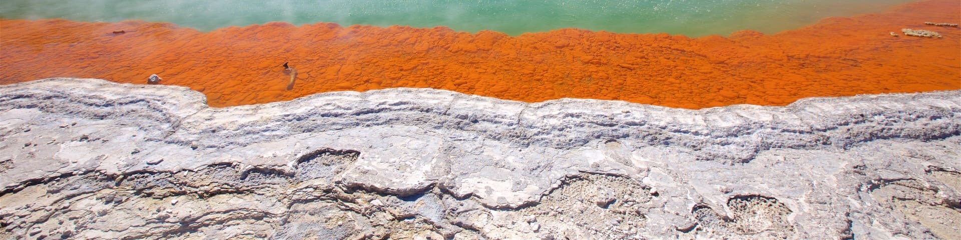Wai-O-Tapu Thermal Wonderland featuring a hot spring and mist or fog