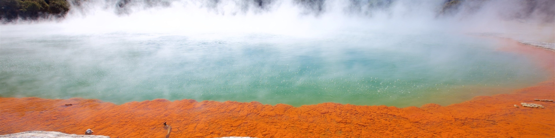 Wai-O-Tapu Thermal Wonderland ofreciendo niebla y un manantial
