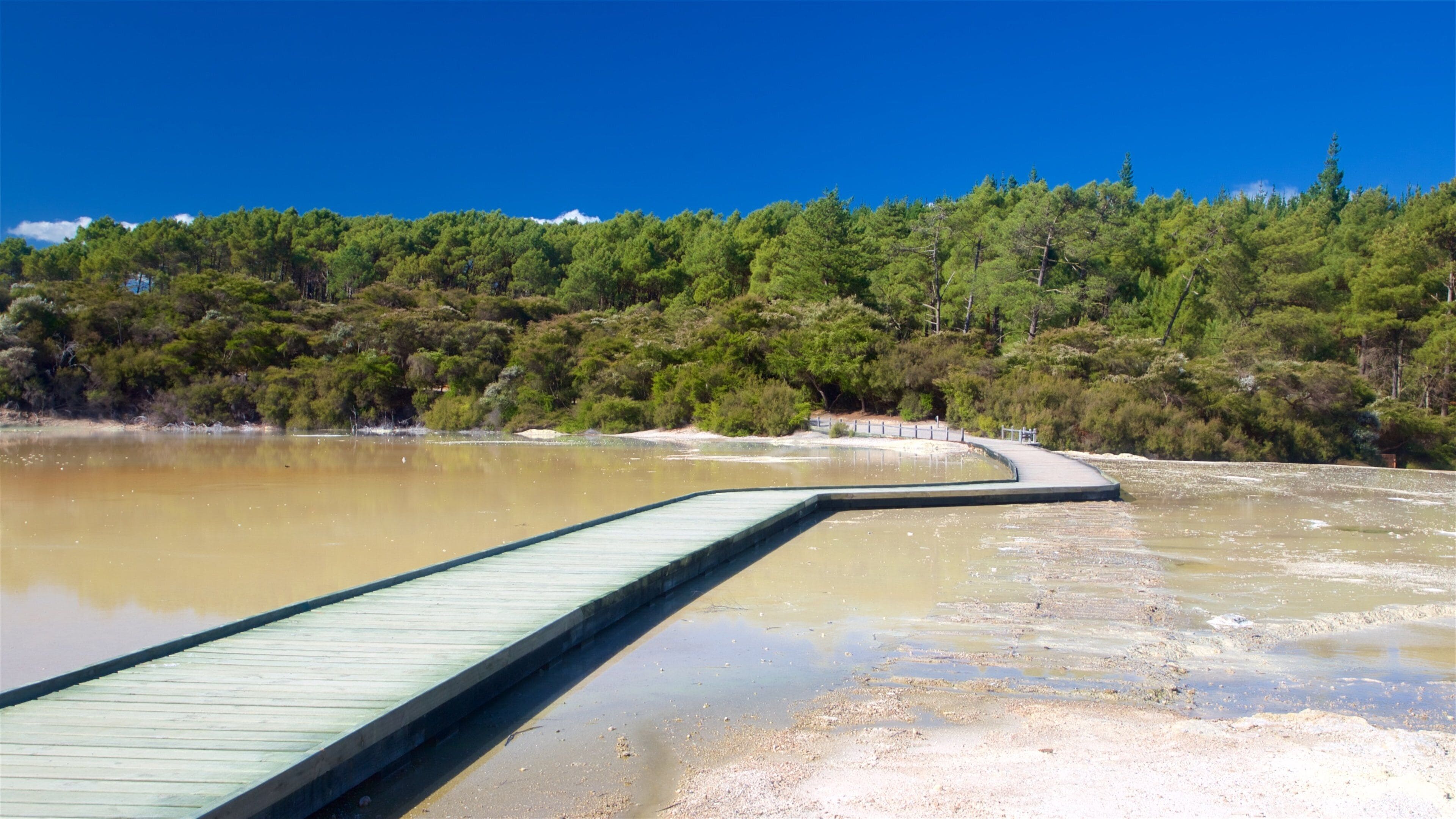 Wai-O-Tapu Thermal Wonderland which includes a bridge and a hot spring