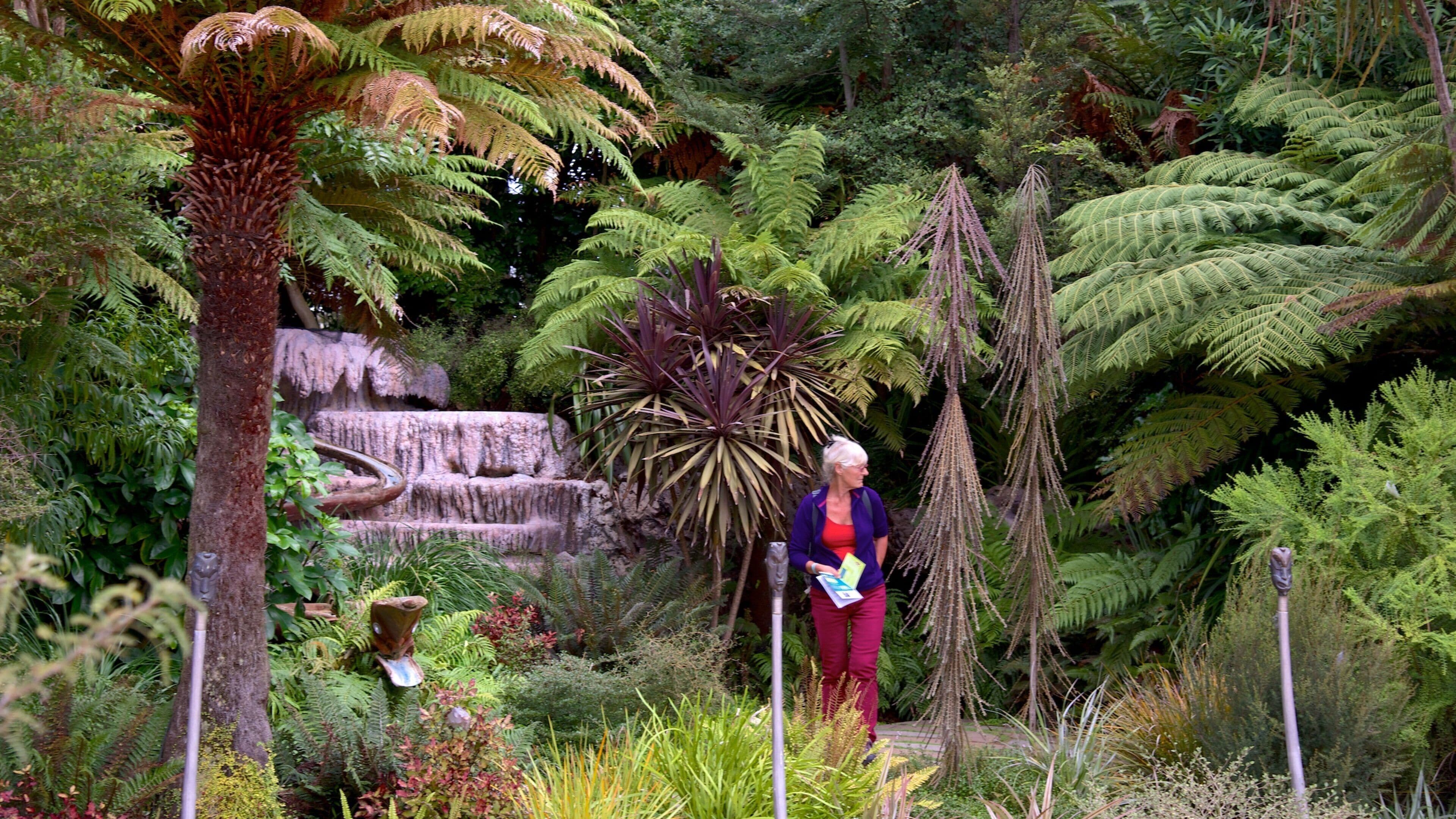 Taupo Museum and Art Gallery featuring forests as well as an individual femail