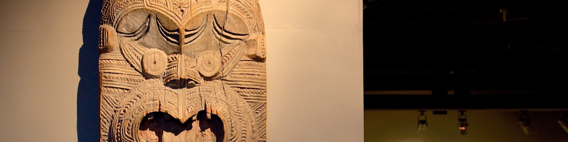 Lake Taupo Museum and Art Gallery showing art and indigenous culture