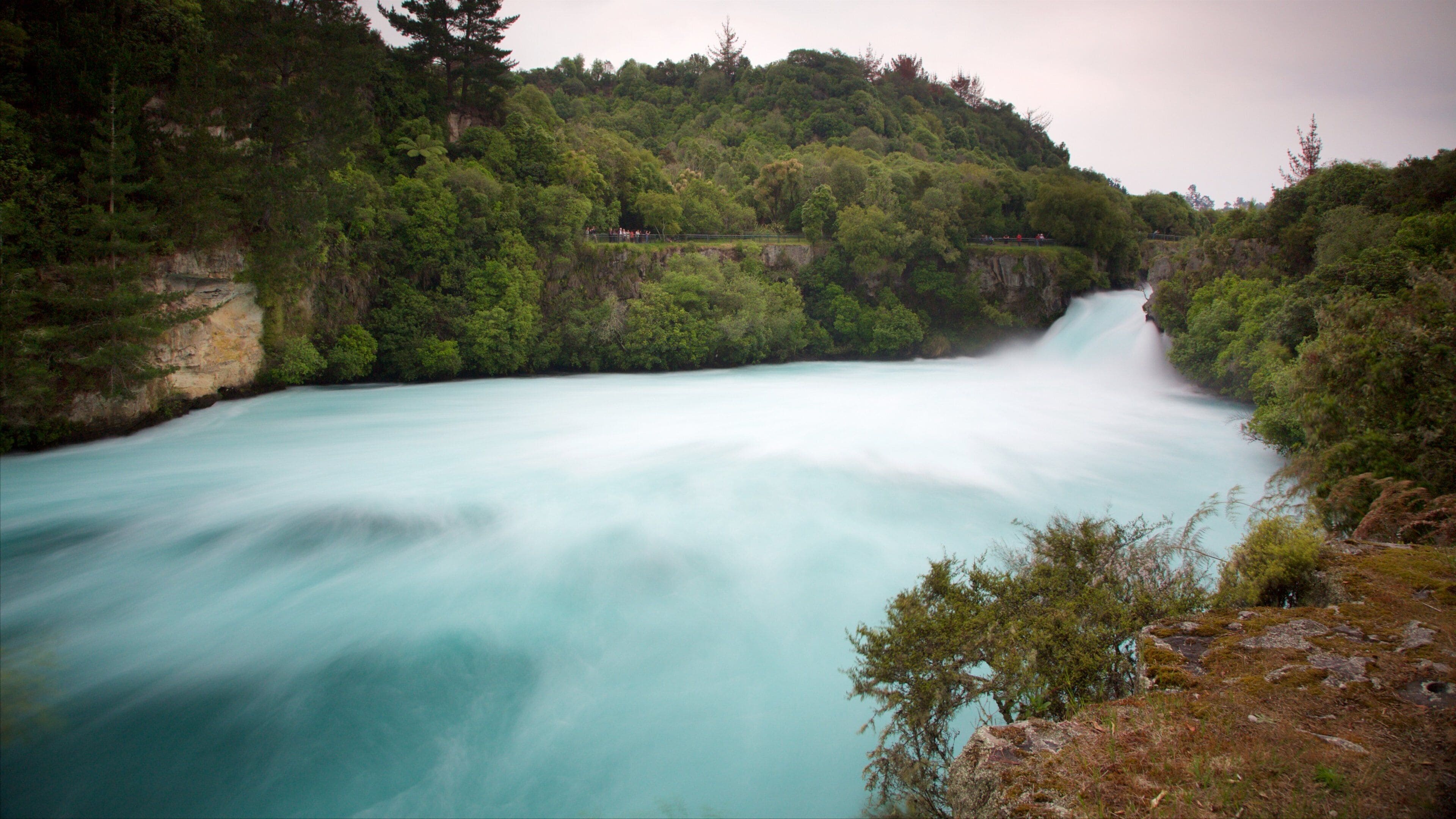 Huka Falls showing a sunset, a lake or waterhole and forest scenes