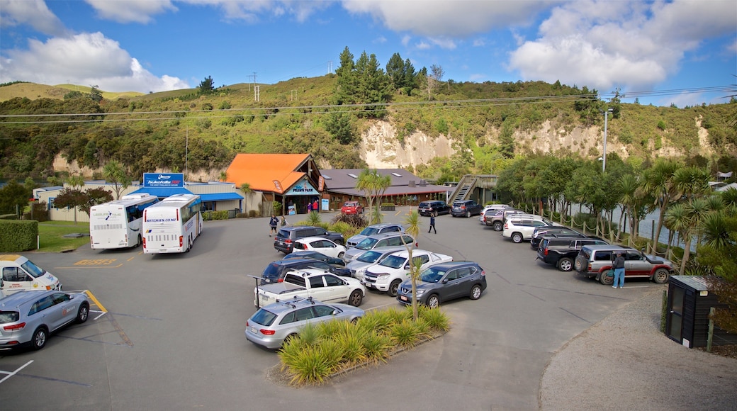 Prawn Farm which includes landscape views