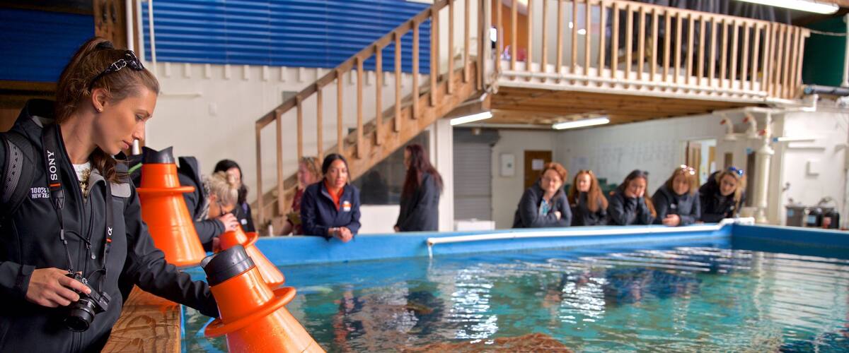 Prawn Farm featuring interior views and marine life as well as a small group of people