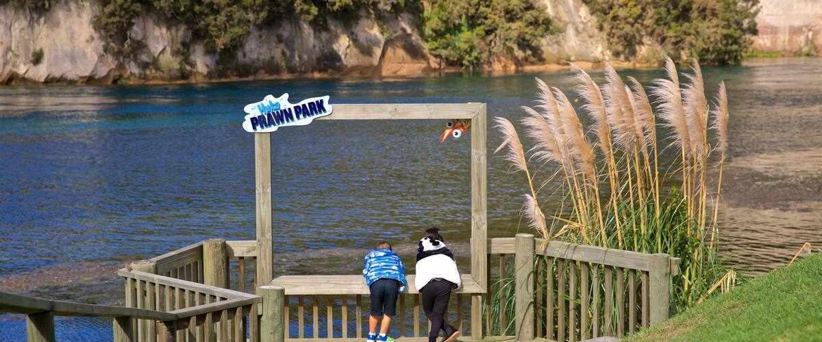 Prawn Farm showing a river or creek and signage as well as a family
