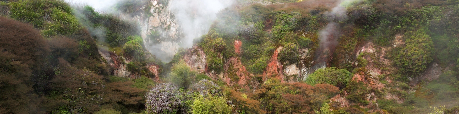 Craters of the Moon que incluye paisajes forestales, niebla y un manantial