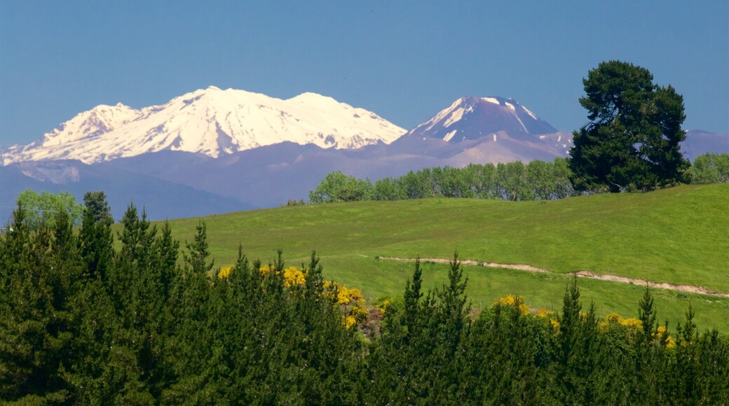 Craters of the Moon which includes tranquil scenes, landscape views and mountains