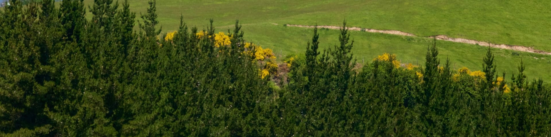 Craters of the Moon mit einem Berge, ruhige Szenerie und Landschaften