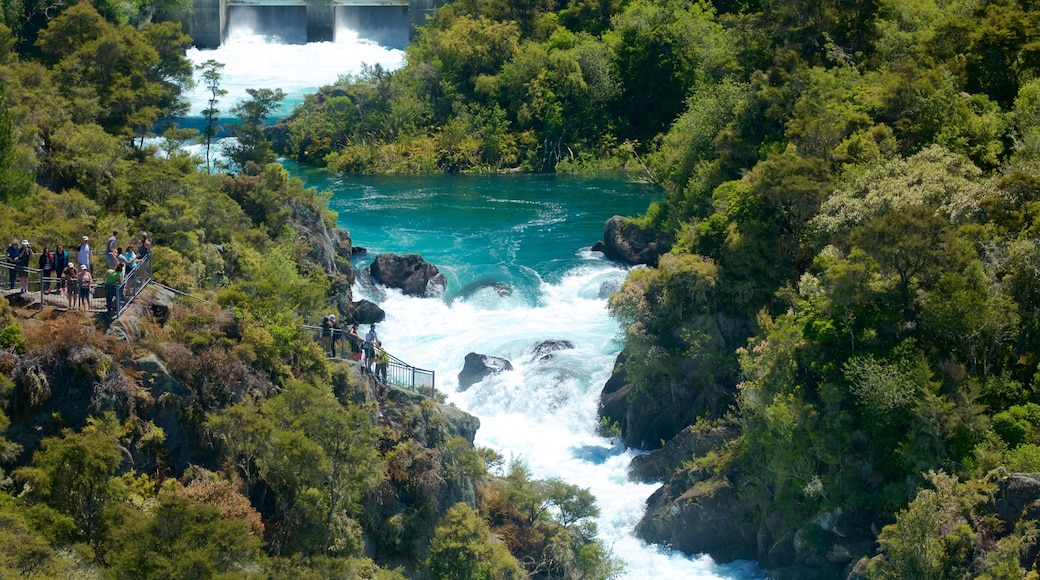 Aratiatia Rapids showing a river or creek, rapids and forests
