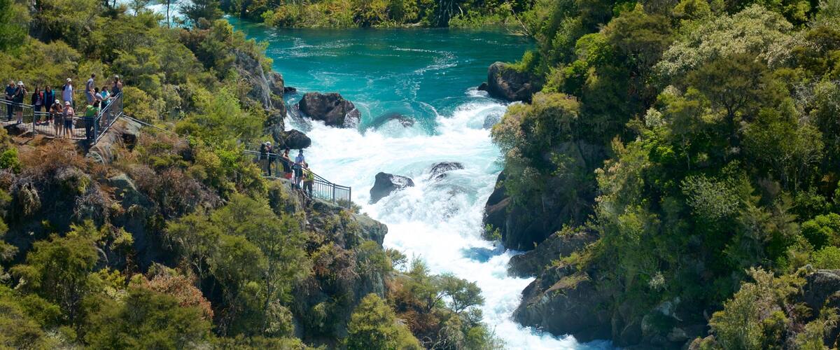 Aratiatia Rapids showing a river or creek, rapids and forests