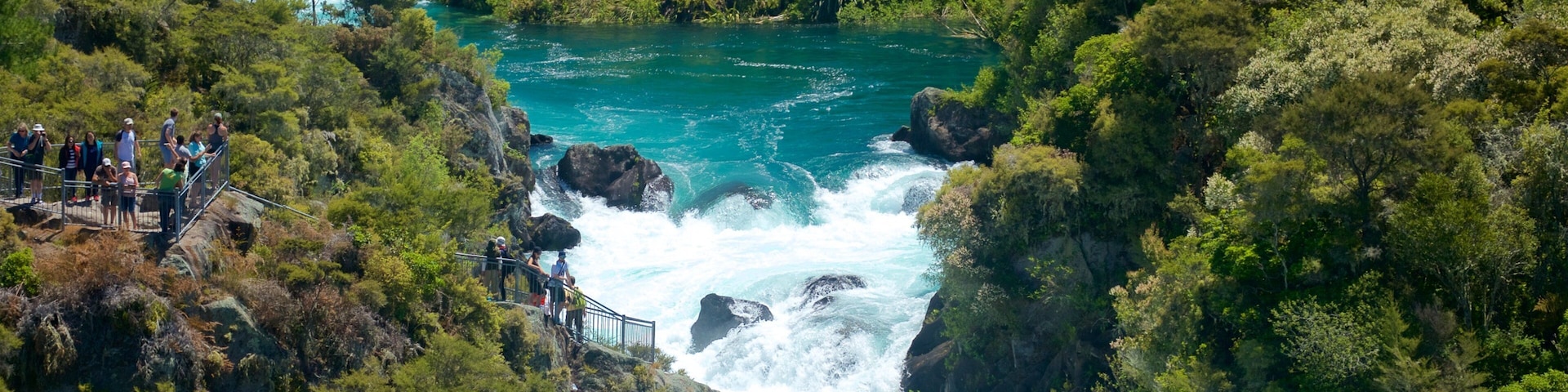 Aratiatia Rapids caracterizando florestas, um rio ou córrego e córrego