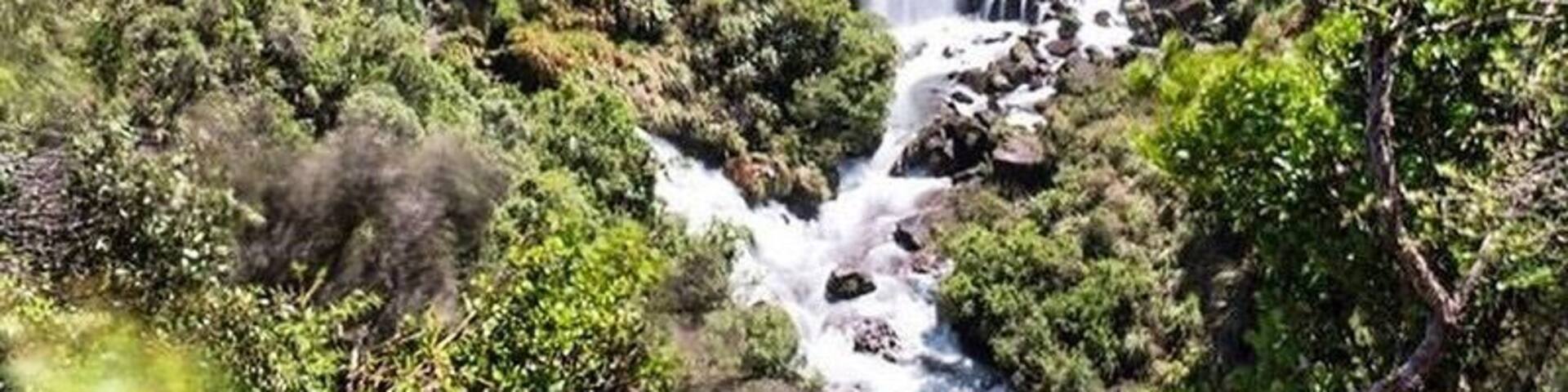 #Springfun found this awesome spot on the way to Napier