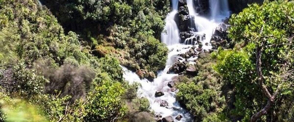 A waterfall cascading through a lush, green forest.