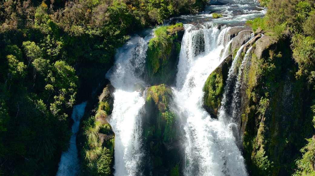 Waipunga Falls which includes a river or creek and a waterfall