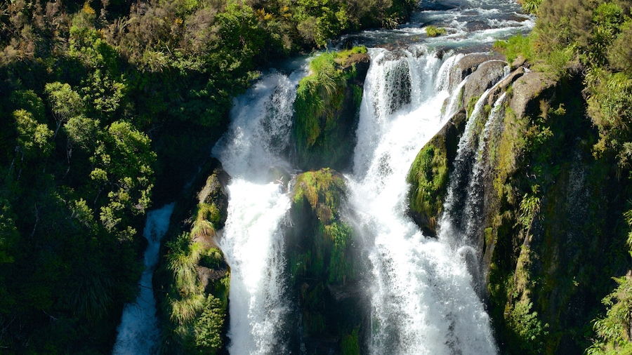 Waipunga Falls fasiliteter samt elv eller bekk og vannfall